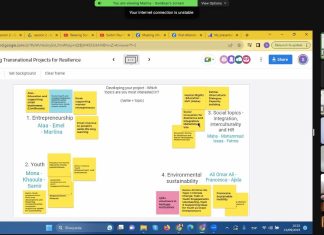 Up-skilling Transnational Projects for Resilience